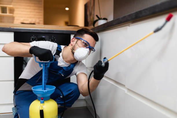 Best Mosquito Control Services  in Brimfield, OH