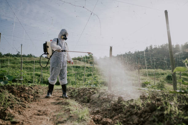 Best Commercial Pest Control Services  in Brimfield, OH