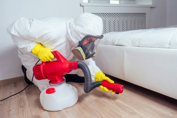 Best Pest Removal Services  in Brimfield, OH
