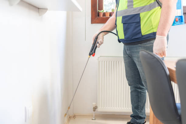 Best Affordable Pest Control Services  in Brimfield, OH