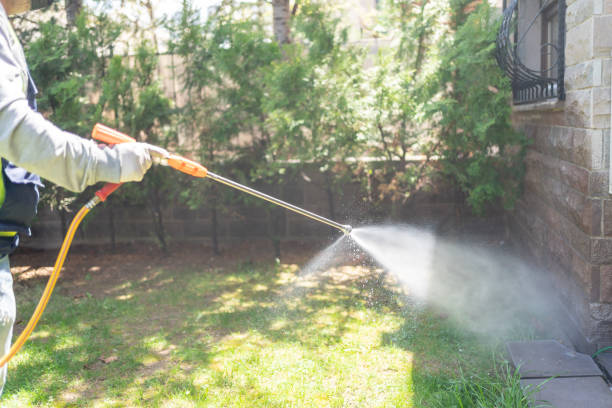 Best Local Pest Control Services  in Brimfield, OH