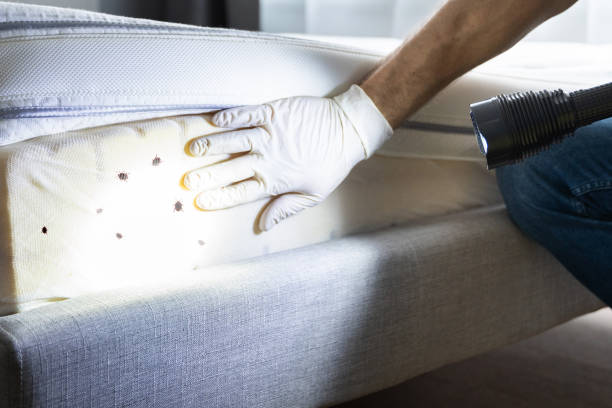 Best Exterminator Services  in Brimfield, OH