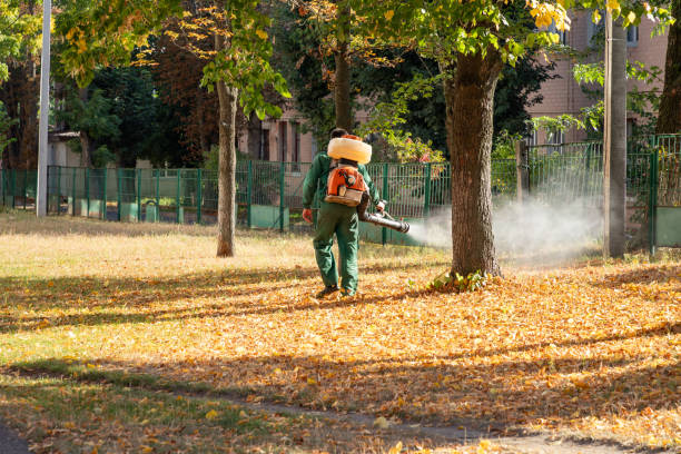 Best Cockroach Control Services  in Brimfield, OH