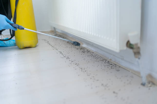  Brimfield, OH Pest Control Pros