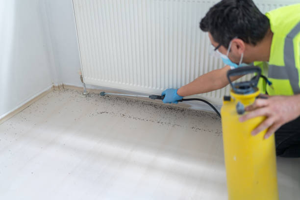 Best Termite Control Services  in Brimfield, OH